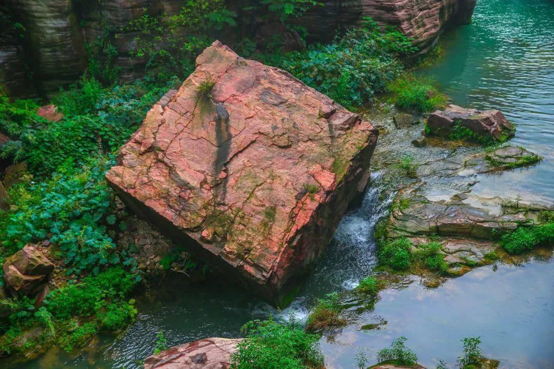 虫虫助手下载