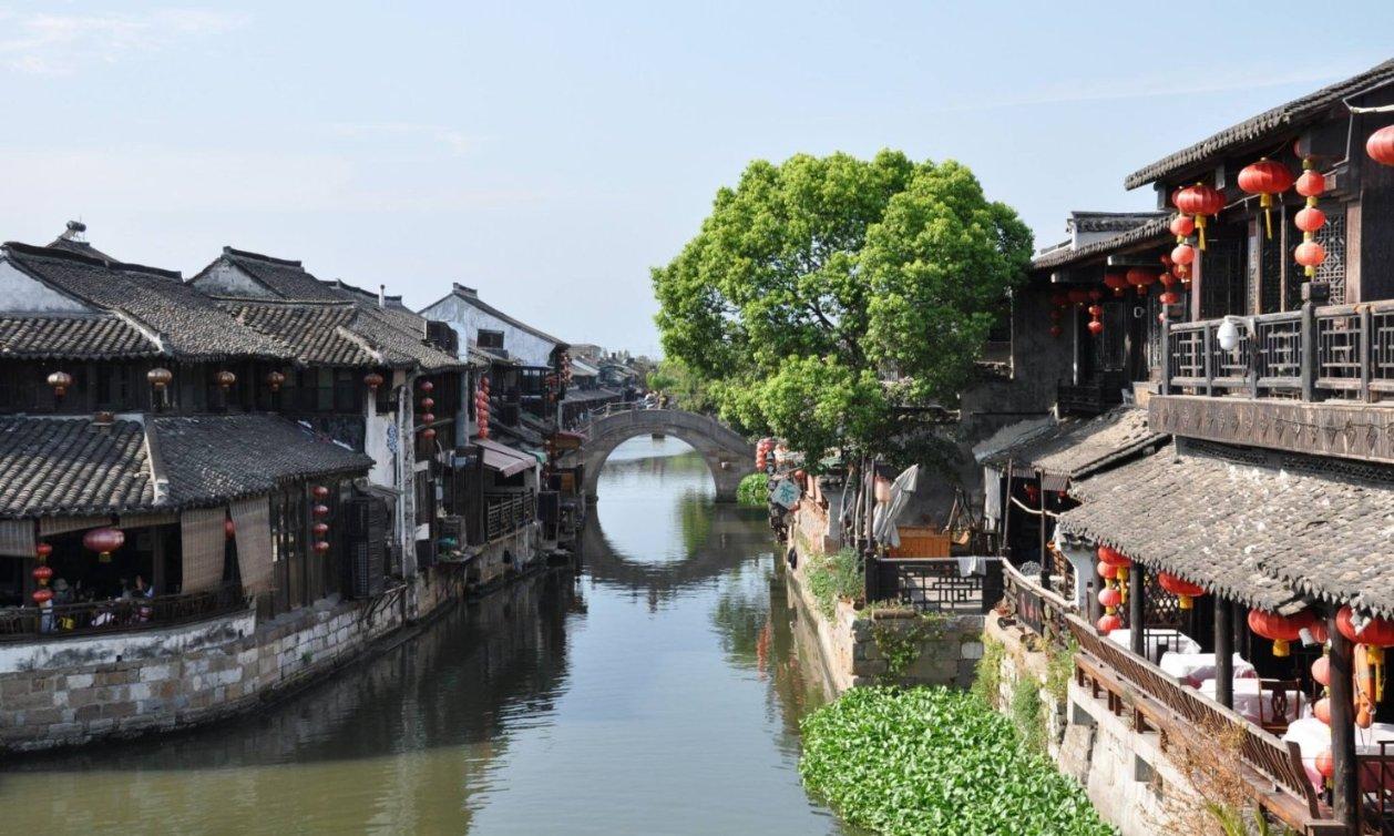 专业解答,实时问答|松茸怎么做有问必答平台