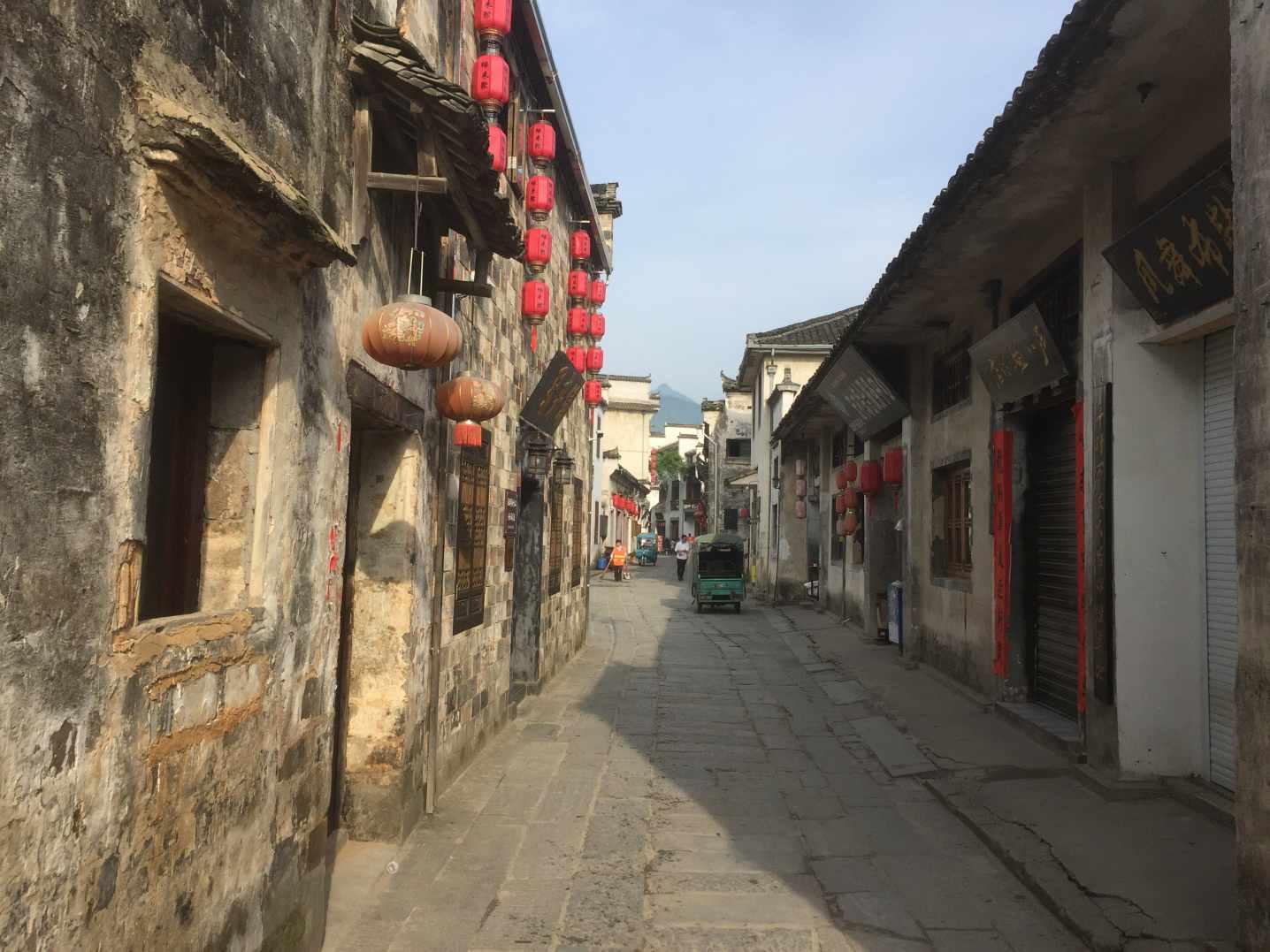牵牛花吹起了什么小喇叭?—专业的讨论社区平台